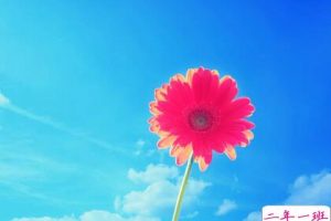 2016英文说说，微信英文说说大全