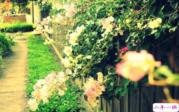 唯美的句子说说心情长篇：相逢主人留一笑，不相识，又何妨1