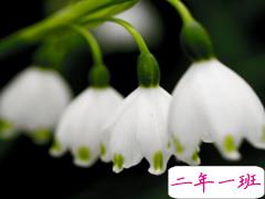 2018微商说说语录经典 朋友圈微商说说激励人的