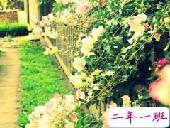 唯美的句子说说心情长篇：相逢主人留一笑，不相识，又何妨