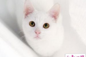 打动人心的歌词说说大全100条 这些听过就不会忘的歌词