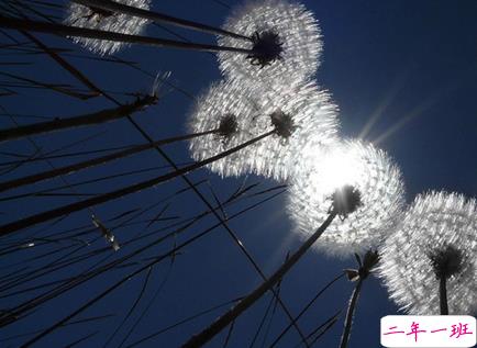 关于努力的经典说说最新版 多年后你会感谢曾经努力的自己1