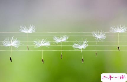 关于努力的经典说说最新版 多年后你会感谢曾经努力的自己2