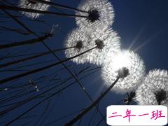 关于努力的经典说说最新版 多年后你会感谢曾经努力的自己