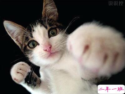 关于社会现实的说说，QQ空间社会说说大全