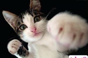 关于社会现实的说说，QQ空间社会说说大全