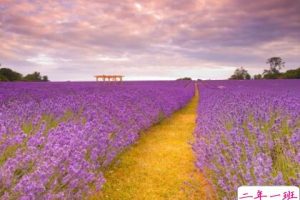 经典个性QQ说说:你让我生活在地狱,我就毁掉你的天堂