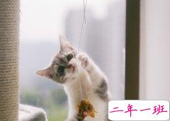 QQ人气说说：童年的雨天最泥泞，却又是记忆里最干净的曾经