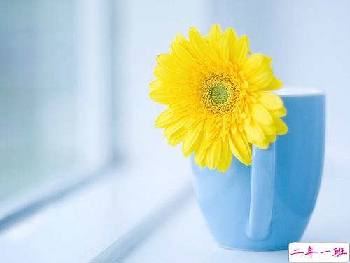 生活哲理句子精辟说说100条：踏实一些不要着急，你想要的岁月都会给你4