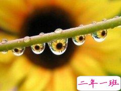 好看的空间说说：有毒的草开迷人的花，害你的人说爱你的话