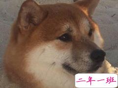 描写天气很热的经典说说：这个天气，出来玩的都是抗日英雄。