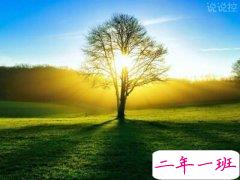 最精辟最火的句子：所有回不去的良辰美景，都是举世无双的好时光