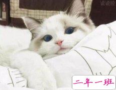 快手经典语录，快手经典句子