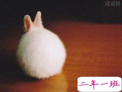 女生说说经典语录:生活从未变得容易,只不过是我们变得更加坚强