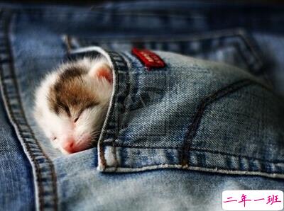 最有个性的QQ说说1