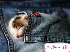 最有个性的QQ说说:问君能有几多愁,恰似没穿秋裤遇寒流