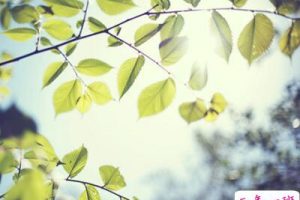 2018感悟人生的说说，感悟人生的经典句子