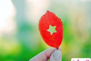 非主流个性说说：让你病的人给不了你药，给你药的人舍不得你病