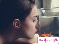 比较短的说说大全：流言止于智者，聊天止于呵呵