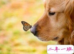 QQ空间个性语录:我在偏袒朋友的时候别跟我讲什么大道理,我聋了