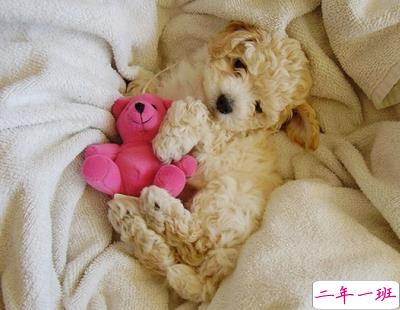 关于放假的说说1