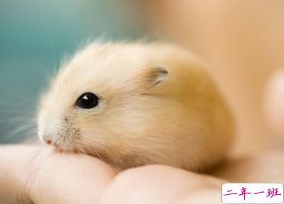 可爱的个性心情短句1