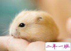 可爱的个性心情短句：早知道找对象这么难，我就定娃娃亲了