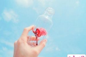 QQ经典说说大全:所有眉宇间的故事,不是深情就是辜负