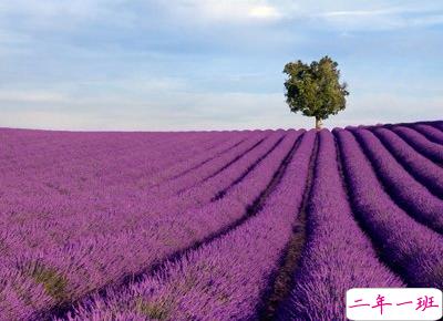 很拽的心情短语1