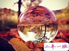 霸气说说大全:你又不是我的美瞳,我凭什么把你放在我的眼里