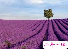 很拽的心情短语：不要轻易评论我的好与坏，我没吃过你家一口饭