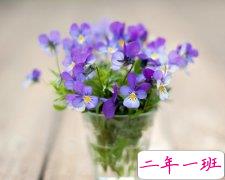 QQ个性心情：每个呵呵的后面，都有无数个草泥马在暴走