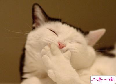 愚人节空间说说1