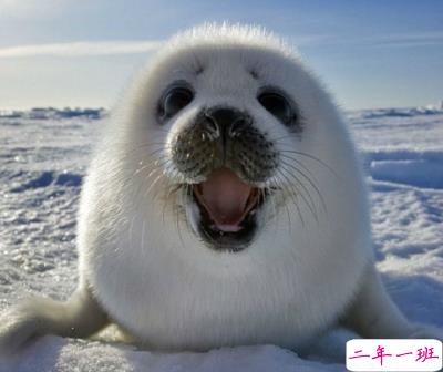 愚人节空间说说2