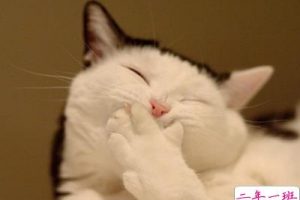 愚人节空间说说:谁让我过愚人节,我就让谁过清明节