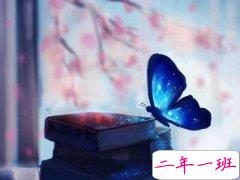 经典的话适合发说说的：世界让我遍体鳞伤，但伤口长出的却是翅膀