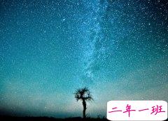 个性心情语录：多少人曾用一颗赤诚之心，喂养一只虚情假意的畜生