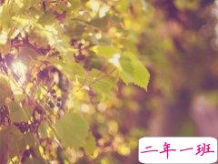 特别有道理的说说，有道理的说说短句