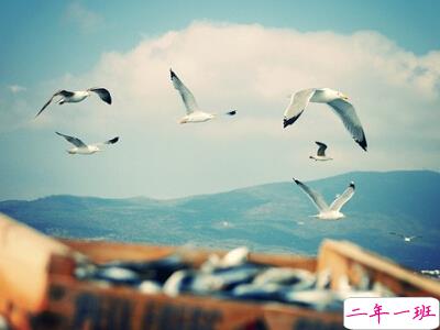 经典语录短句，很短但深入人心的句子