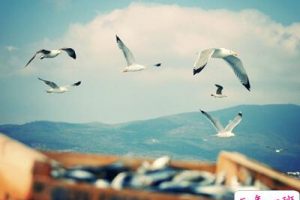 经典语录短句，很短但深入人心的句子