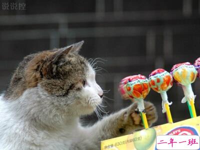 很有道理的说说句子，QQ空间有道理的说说