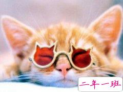 QQ空间一句话说说：谎言总是很好听，真话我们却再不敢相信