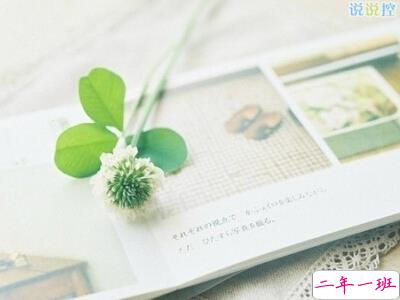 2017经典说说最新