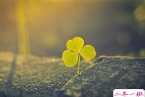 时尚潮流的说说：原来，错过的不止是青春，还有你