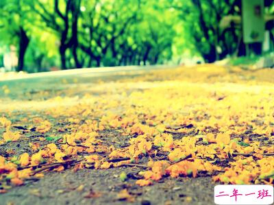 致青春的说说，青春说说心情短语