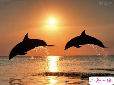 关于成长的说说大全，成长的说说心情