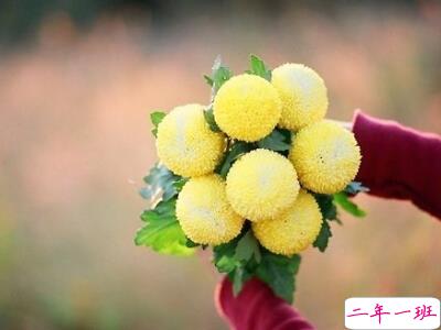 经典空间说说大全