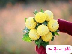 经典空间说说大全:那些最终会让你陷进去的,一开始总是美好