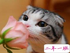 微信哲理说说文字：很多人一开始为了梦想而忙，后来忙得忘了梦想