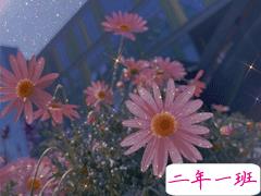 2020最后一天的句子 2020最后一天的伤感说说